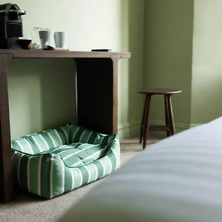 Homestay szállás Dog-friendly Boutique Room, Olive House *